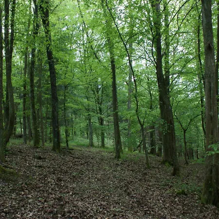 L'ermitage Du Rebberg Nyaraló *